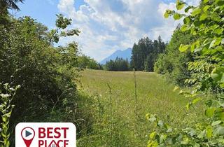 Grundstück zu kaufen in 9612 Poglantschach, RESERVIERT: über 8.000 m2 Wiese und Wald mit Stadl