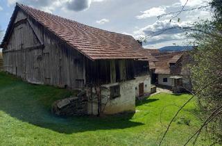 Einfamilienhaus kaufen in 8250 Vorau, Sanierungsbedürftiges ehemaliges Bauernhaus im Zentrum von Vorau
