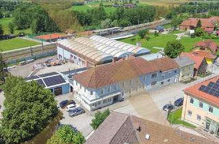 Gewerbeimmobilie kaufen in 3352 Sankt Peter in der Au-Dorf, Betriebsliegenschaft (Wohn-, Büro- & Lagerflächen) als Investment oder zur Eigennutzung in Amstetten zu verkaufen!