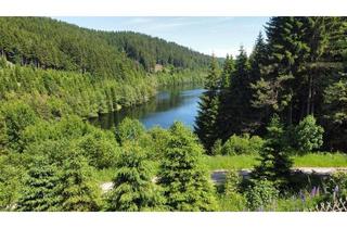 Haus kaufen in 9473 Lavamünd, Naturjuwel am Soboth-Stausee in Alleinlage