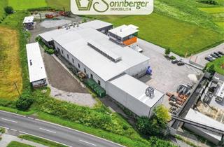 Gewerbeimmobilie kaufen in 4212 Matzelsdorf, SHARE DEAL – Gewerbeimmobilie mit Produktionshallen, Lagerflächen, Carport und Büros in Matzelsdorf