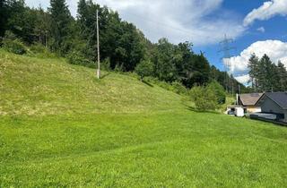 Grundstück zu kaufen in Bach 24, 9072 Bach, PROVISIONSFREI: Traumhaftes 2727m2 Grundstück in Ludmannsdorf - Südlage mit unverbaubarem Blick aufs Drautal