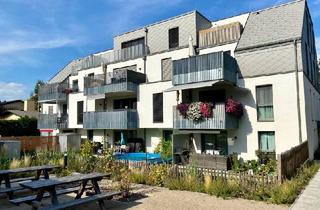 Wohnung mieten in Schemmerlstraße 58, 1110 Wien, Lichtdurchflutete 3-Zimmer-Dachgeschosswohnung mit großer Terrasse mit Grünblick | Barrierefrei