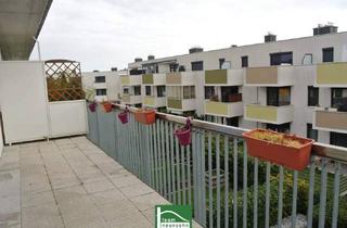 Wohnung mieten in 2325 Himberg, Sonnige 2 Zimmer WOHNUNG mit großer Terrasse- inkl. KÜCHE - NÄHE Zentrum und BAHNHOF! Provisionsfrei