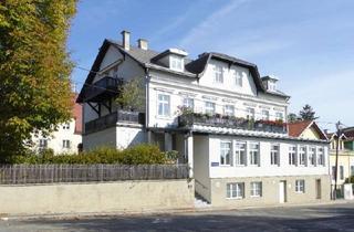 Wohnung kaufen in Wolfersberg, 1140 Wien, 4-Zimmer-DG-Wohnung mit Balkon in Jahrhundertwendehaus im Penzinger Cottageviertel