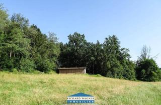 Grundstück zu kaufen in 3312 Oed, Waldgrundstück mit Grünland (für Wald und Naturliebhaber) in Oed - Nähe Amstetten