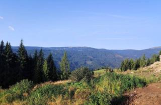 Grundstück zu kaufen in 8742 Obdach, "Über den Wolken kann die Freiheit nur grenzenlos sein" Alpen-Baugrundstück, voll aufgeschlossen auf 1.400 Metern Seehöhe!