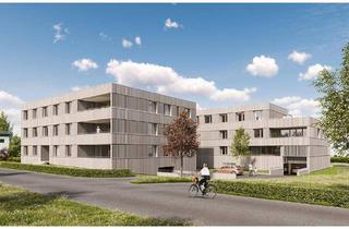 Wohnung kaufen in Seestraße 41, 6972 Fußach, Ihr Wohnglück 3 Radminuten vom See entfenrt: 3-Zimmer Dachgeschosswohnung (Top B07)