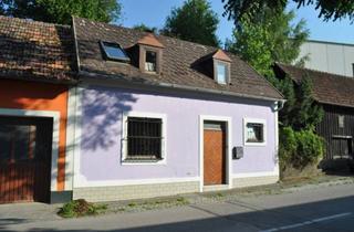 Immobilie kaufen in 3506 Krems an der Donau, Zum Wohnhaus ausgebauter Weinkeller