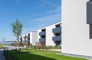 Wohnung kaufen in 6800 Feldkirch, Ab sofort verfügbar! Traumhafte 3-Zimmer-Eck-Dachterrassen-Whg. in Feldkirch-Altenstadt "Küchlerstraße 17" zu verkaufen!