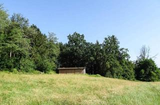 Grundstück zu kaufen in 3362 Öhling, Waldgrundstück mit Grünland (für Wald und Naturliebhaber) in Oed - Nähe Amstetten