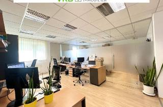 Büro zu mieten in Bockgasse, 4020 Linz, Bockgasse: Modernes 3-Raum-Büro mit Tiefgarage