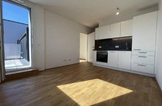 Wohnung mieten in 1220 Wien, Entzückende Single Wohnung-2 Zimmer - ca. 37m² - DG-Wohnung mit ca. 4 m² Terrasse