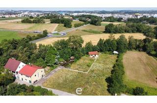 Grundstück zu kaufen in 4600 Wels, 5287m² Baugrundstück direkt am Mühlbach