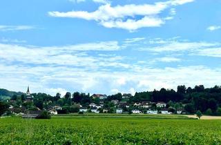 Grundstück zu kaufen in 9300 Hörzendorf, Schönes Baugrundstück in Hörzendorf mit unverbaubarem Ausblick - Provisionsfrei!