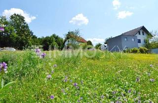 Grundstück zu kaufen in 4616 Weißkirchen, Zauberhafte, ruhige Siedlungslage - perfekt für Ihr neues Zuhause!