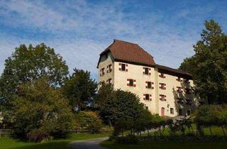 Büro zu mieten in 6800 Feldkirch, Attraktive Büroräumlichkeiten mit besonderem Flair