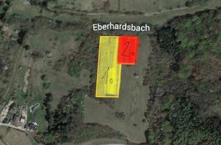 Gewerbeimmobilie kaufen in 3433 Königstetten, Verwilderter, mit alten Sorten bestückter Obstgarten im Moment als Wald gewidmet mit RODUNGSBESCHEID