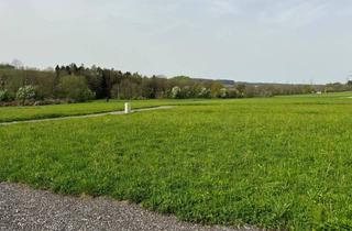 Grundstück zu kaufen in Mairing, 4942 Wippenham, Sonniges Grundstück mit tollem Ausblick in Wippenham