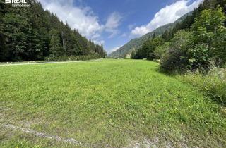 Gewerbeimmobilie kaufen in 8850 Murau, Wald, Wiese und Leitungsrecht