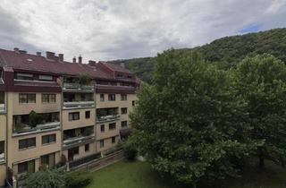 Wohnung kaufen in Mühlhofstraße 28, 3500 Krems an der Donau, *** PROVISIONSFREI *** Charmante Eigentumswohnung in ruhiger Lage