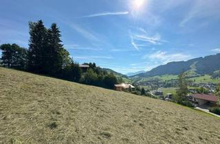 Grundstück zu kaufen in 6314 Niederau, Traumhaftes Grundstück mit Blick über Wildschönau ( 06227 )