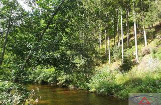 Gewerbeimmobilie kaufen in 4293 Gutau, Ca. 8.5 ha Wald entlang der Waldaist !