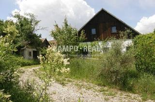 Agrarfläche kaufen in 3034 Maria-Anzbach, CAMPO-LANDWIRTSCHAFT: Zurück zur Natur - Hochwasserfrei - Pferdehof mit ca. 6 ha Grund samt Wohn- und Wirtschaftsgebäude