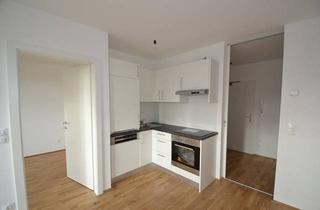 Wohnung mieten in Niesenbergergasse 41-51, 8020 Graz, Annenviertel - 35m² - 2 Zimmer - südseitiger Balkon