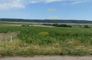 Grundstück zu kaufen in Wiener Neustädterstrasse 3625, 7022 Schattendorf, Ackerland