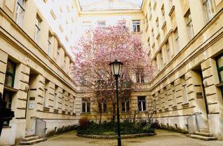 Wohnung mieten in Schönbrunner Straße, 1120 Wien, 4 ZIMMER IN RUHELAGE | NÄHE SCHÖNBRUNN | JUGENDSTIL-JUWEL | ERSTBEZUG NACH KOMPLETTSANIERUNG