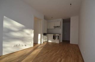 Wohnung mieten in Niesenbergergasse 41-51, 8020 Graz, Zentrum/Annenviertel - 35m² - 2 Zimmer - Tolle Aufteilung - großer Südbalkon