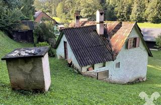 Grundstück zu kaufen in 8552 Eibiswald, Nettes Grundstück mit Häuschen in Stammeregg