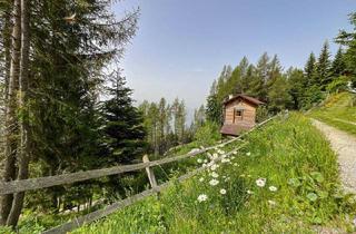 Almhütte zu kaufen in 9871 Seeboden am Millstätter See, NATURJUWEL UND ABSOLUTE RARITÄT AM TSCHIERNOCK - OBERHALB DES MILLSTÄTTER SEES! HIGHLIGHT: FREIZEITWOHNSITZWIDMUNG!