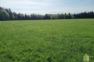 Immobilie kaufen in 5162 Obertrum am See, Landwirtschaftliches Grünland mit Waldfläche