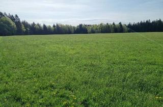 Gewerbeimmobilie kaufen in 5162 Obertrum am See, Landwirtschaftliches Grünland mit Waldfläche