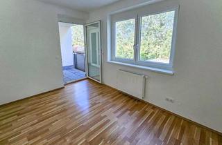 Wohnung mieten in Fabriksgasse 43/5, 2822 Bad Erlach, Familienwohnung in schöner Lage