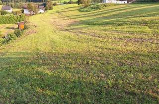 Grundstück zu kaufen in 8670 Krieglach, Baugrund Randlage kein Bauzwang 110 km von wienvon wien Südautobahn S6 direkt erreichbar