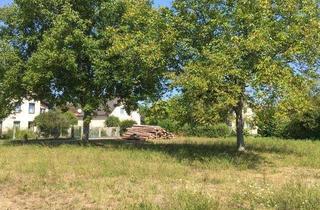 Grundstück zu kaufen in Mühlgasse 12 / 14, 2821 Lanzenkirchen, Ruhig gelegenes Baugrundstück inmitten der Natur