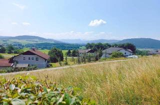 Grundstück zu kaufen in 5204 Straßwalchen, Traumhaftes Baugrundstück für Doppelhaus oder grosses Mehrfamilienhaus!