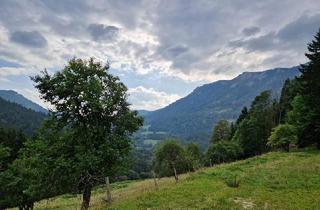 Agrarfläche kaufen in 2662 Schwarzau im Gebirge, Idyllischer Bauernhof in Alleinlage mit ca. 23 ha