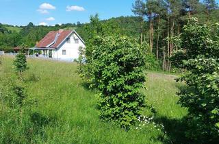 Grundstück zu kaufen in 7551 Bocksdorf, Der ideale Platz für Singles, Paare oder Familien -2000 m², sonnig, Natur pur