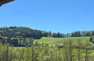 Grundstück zu kaufen in 2851 Krumbach, Baugrundstück für Einfamilienhaus