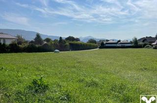 Grundstück zu kaufen in 5081 Anif, Baugrundstück mit Bergblick in Anif