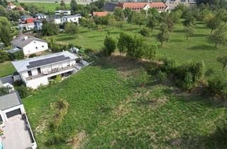 Grundstück zu kaufen in Albrecht-Dürer-Straße, 4053 Haid, Baugrund in Ansfelden in absoluter Ruhelage