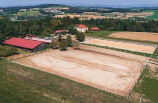 Gewerbeimmobilie kaufen in 3244 Ruprechtshofen, Exklusive Reitanlage mit laufendem Einstellbetrieb in idyllischer Lage