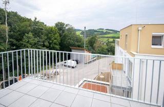 Wohnung mieten in 3033 Altlengbach, ERSTBEZUG: südwestseitige Balkonwohnung mit Ausblick