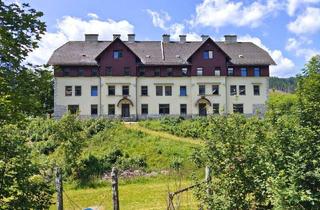 Mehrfamilienhaus kaufen in 8630 Mariazell, Eigenheim und Renditeobjekt mit derzeit 19 Einheiten - Dampfloknostalgie inklusive auf 7.942 m² Grundstück