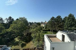 Loft kaufen in 2380 Perchtoldsdorf, Loft im Dachgeschoss mit großer Dachterrasse!