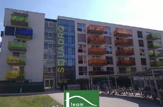 Wohnung mieten in Semmelweisstraße, 4020 Linz, PROVISIONSFREI - Wohnungen sofort bezugsfertig - WG-geeignet! Mit Balkon, Terrasse, Loggia! - JETZT ZUSCHLAGEN